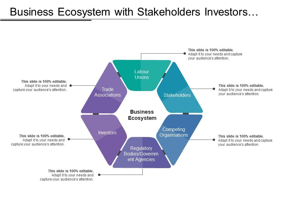 business_ecosystem_with_stakeholders_investors_associations_organizations_Slide01
