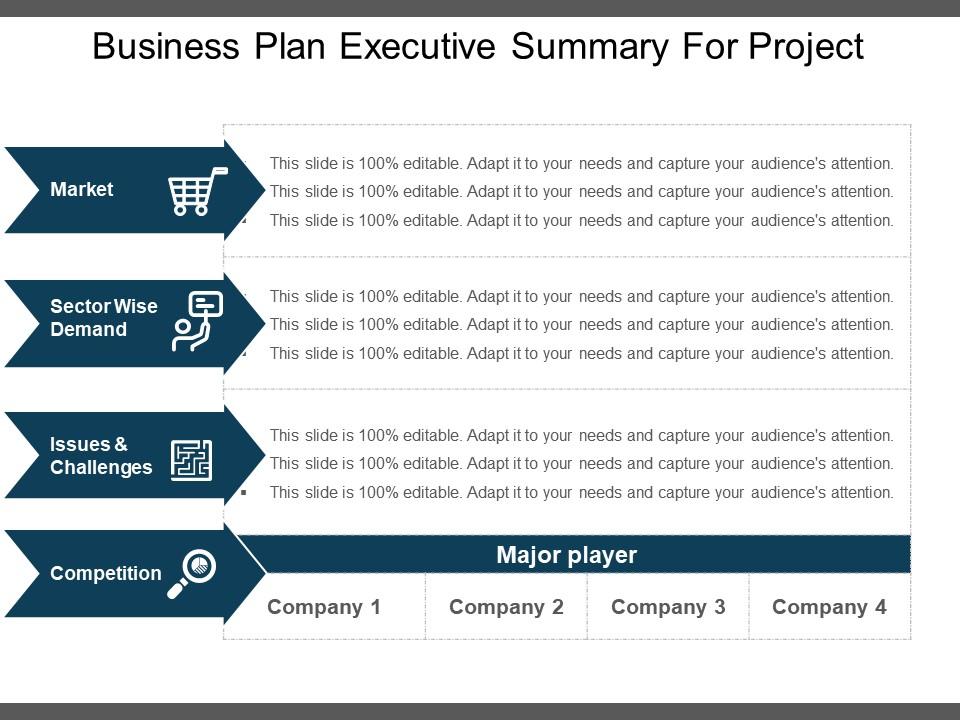 Business plan executive summary for project example of ppt Slide01