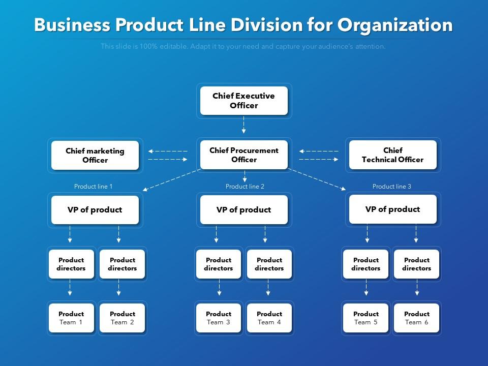 Business Product Line Division For Organization Presentation Graphics