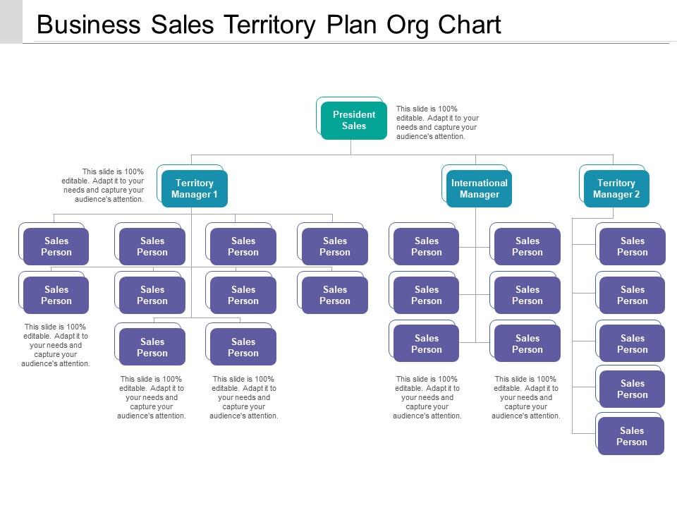 Business Sales Territory Plan Org Chart PowerPoint Presentation