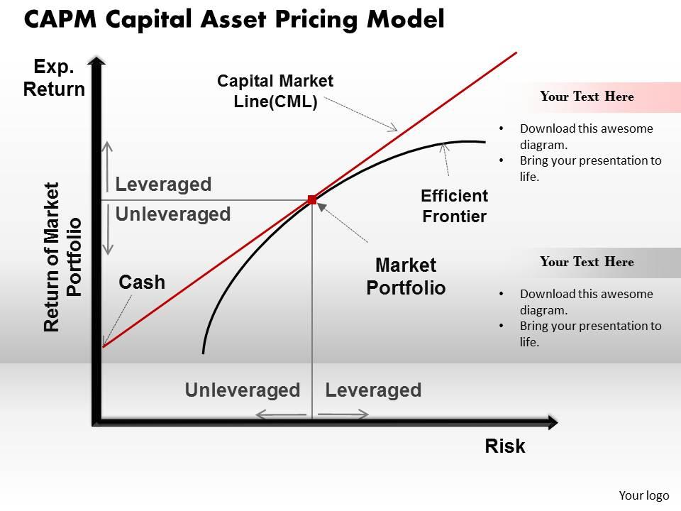CAPM Capital Asset Pricing Model Powerpoint Presentation Slide Template PowerPoint Design