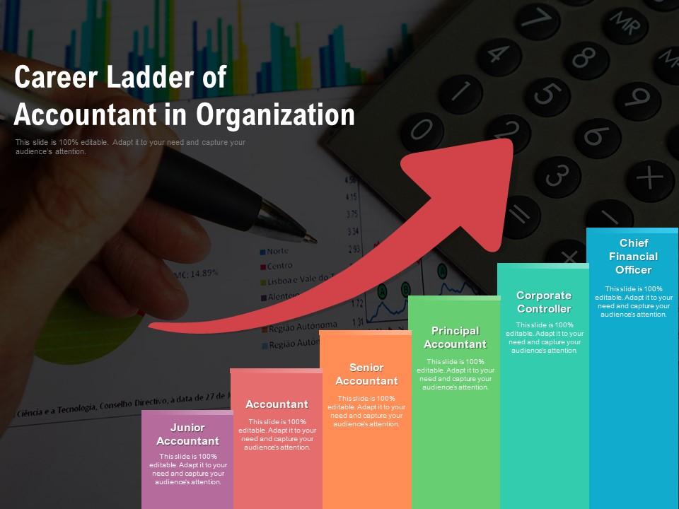 Career Ladder Of Accountant In Organization Presentation Graphics