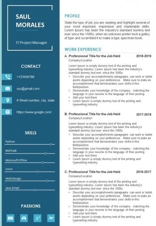 Career statement sample cv template for it project manager Slide01