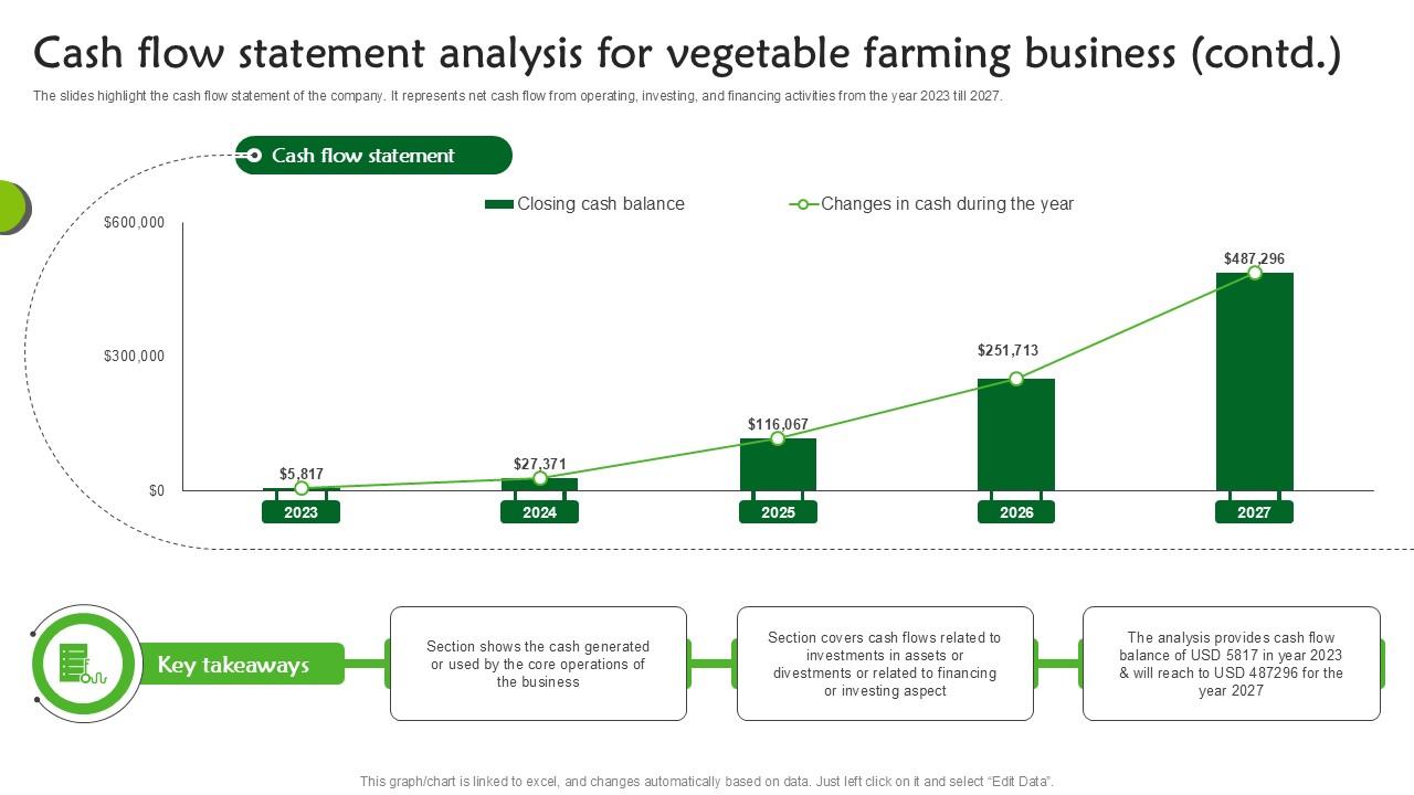 Cash Flow Statement Analysis For Vegetable Farming Vegetable ...