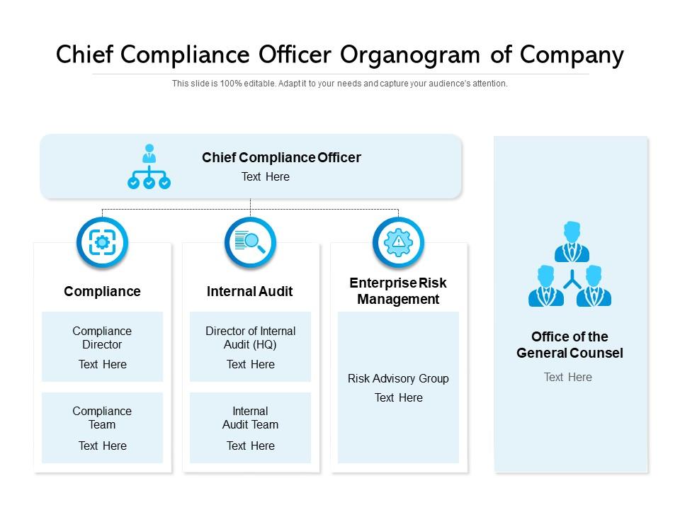 Chief Compliance Officer Organogram Of Company