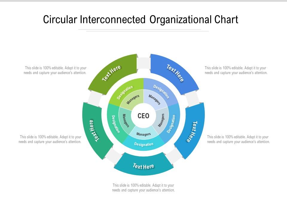 Circular interconnected organizational chart