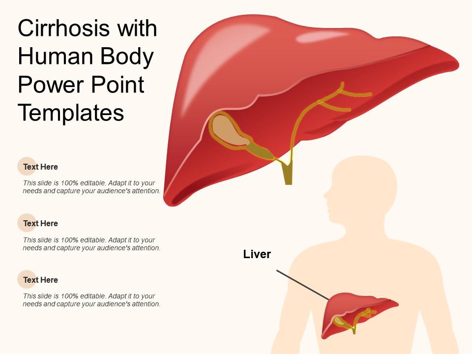 liver slide template