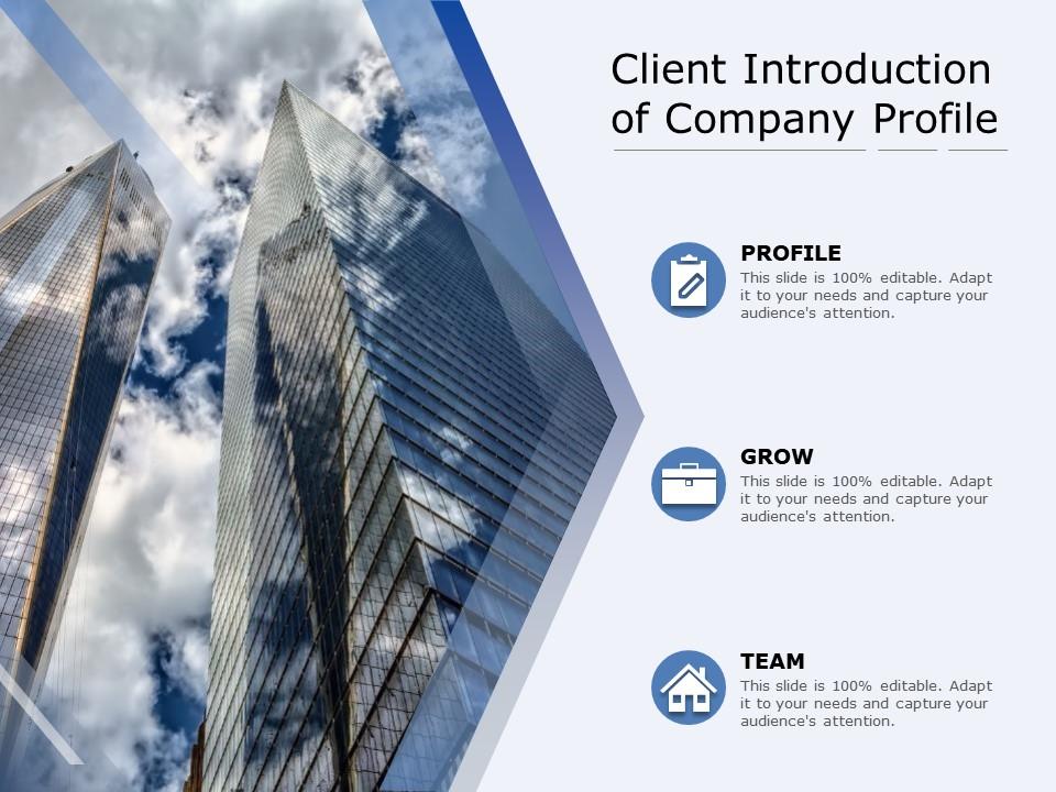 Client introduction of company profile