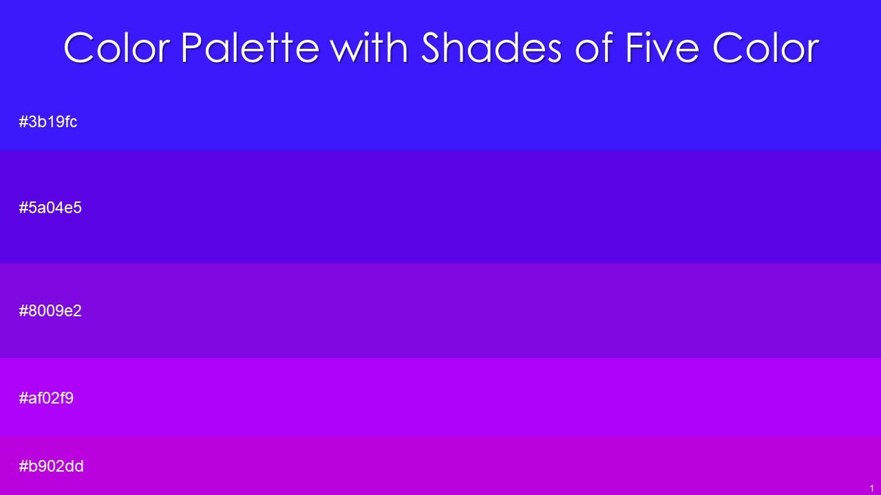 Color Palette With Five Shade Blue Violet Electric Violet Electric