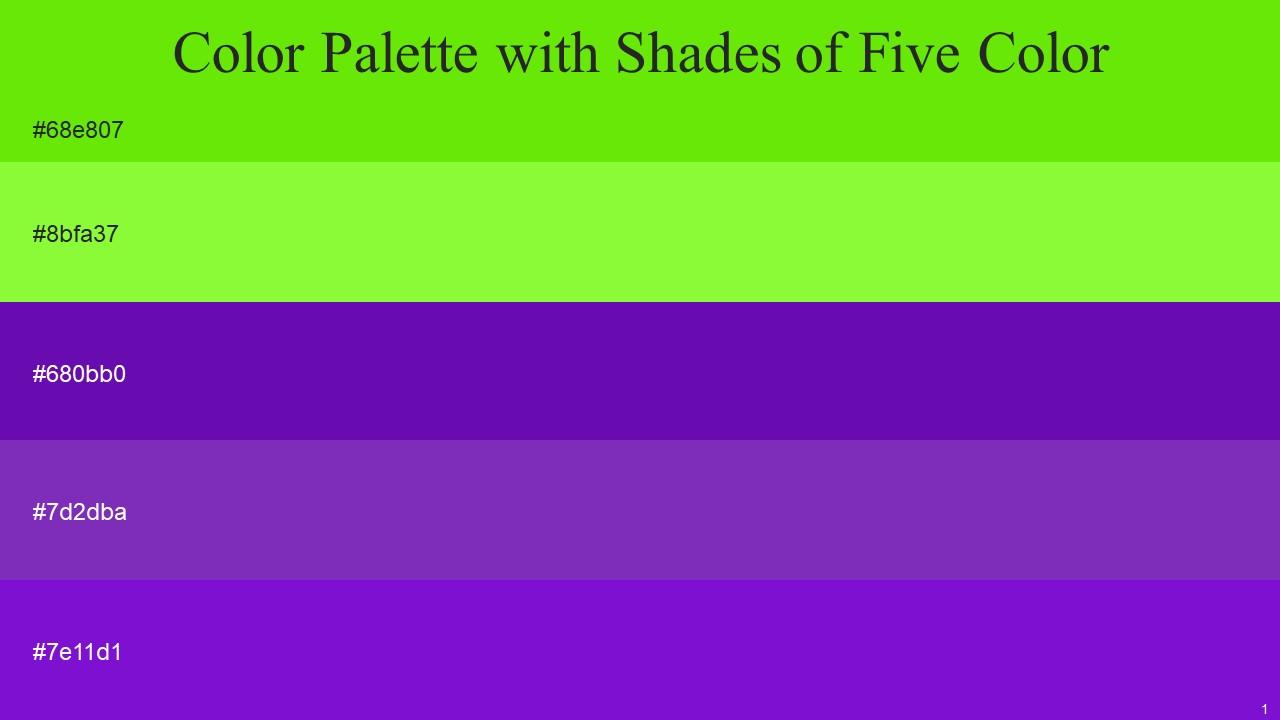 Color Palette With Five Shade Bright Green Green Yellow Purple ...