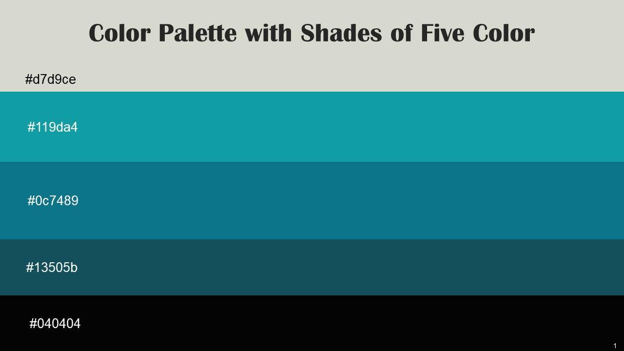Color Palette With Five Shade Celeste Blue Chill Surfie Green Eden Black