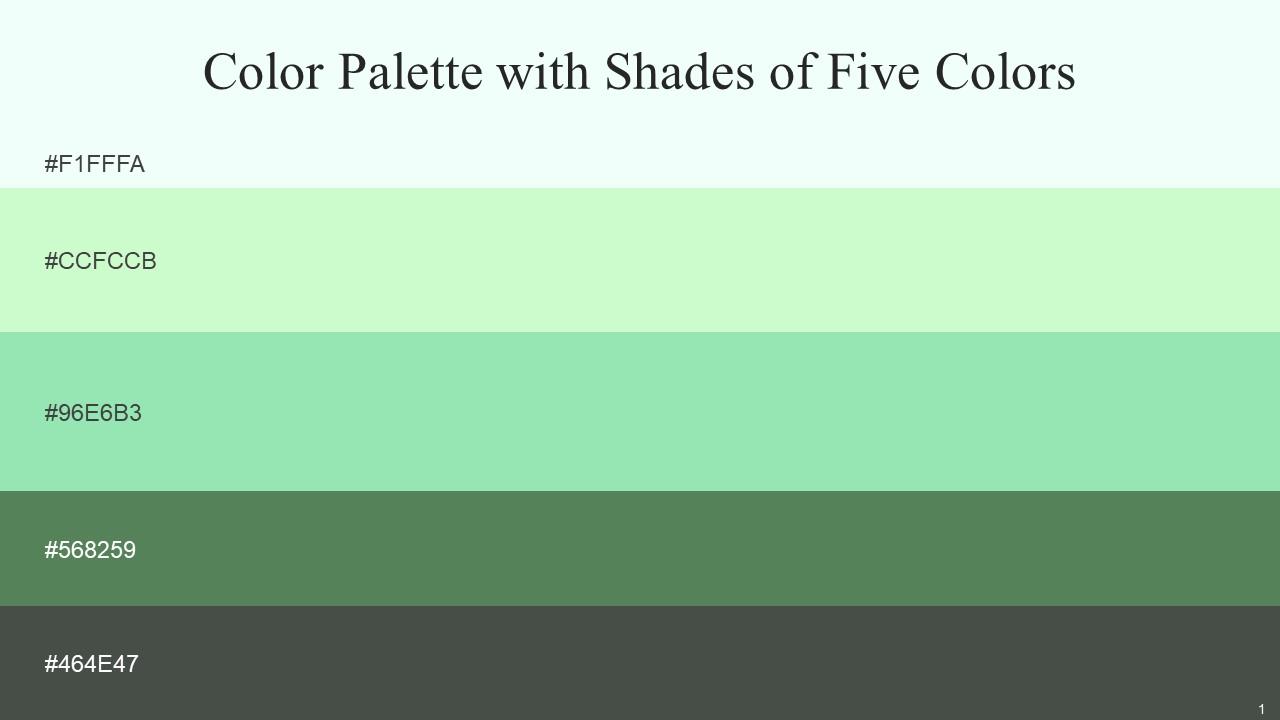 Color Palette With Five Shade Clear Day Snowy Mint Algae Green