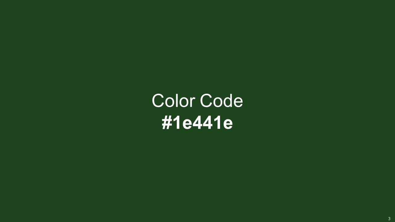 Color Palette With Five Shade Hunter Green Mallard Forest Green La ...