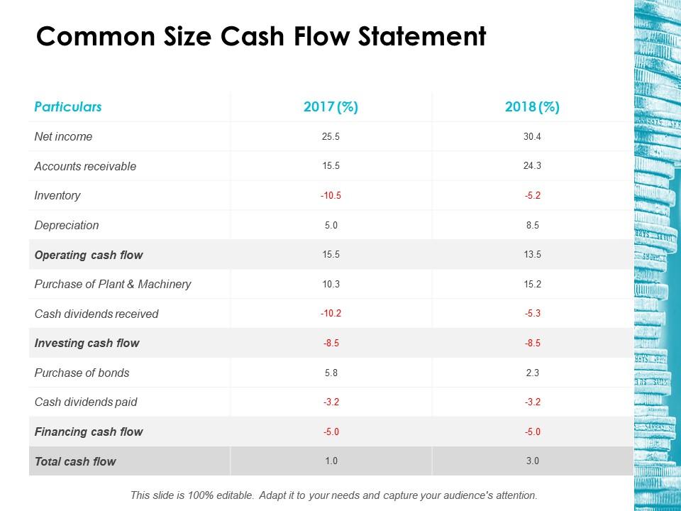 Common Size Cash Flow Statement Ppt Icon Shapes Presentation
