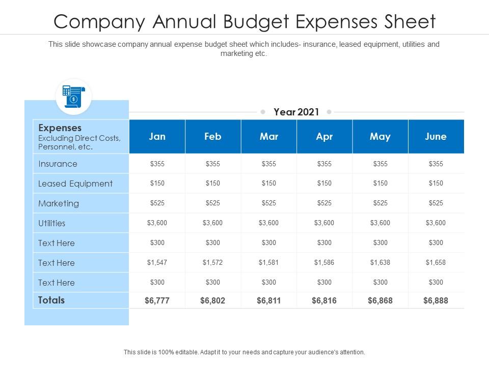 Company Annual Budget Expenses Sheet | Presentation Graphics 