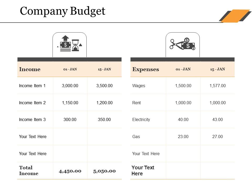 Company budget ppt sample