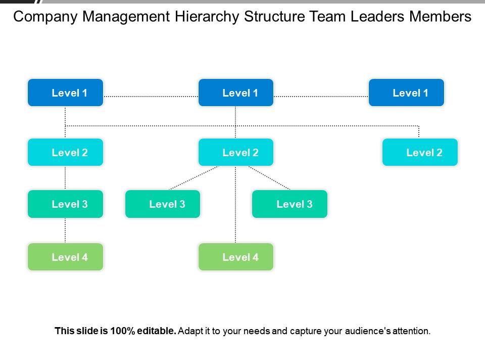Company management hierarchy structure team leaders members Slide01