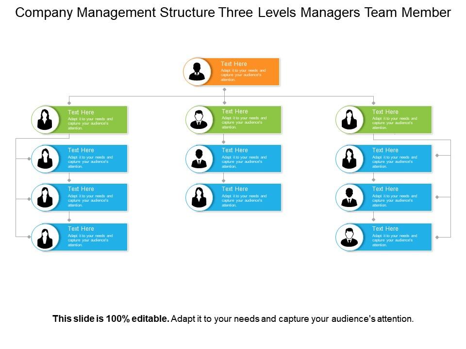 Company Management Structure Three Levels Managers Team Member ...