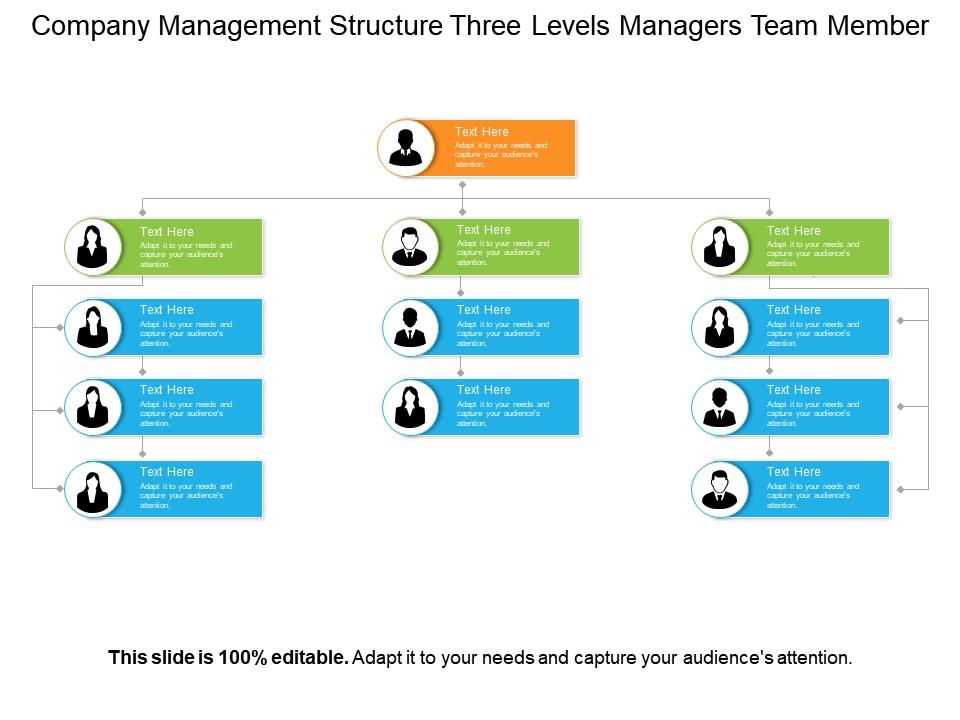 Company management structure three levels managers team member Slide01