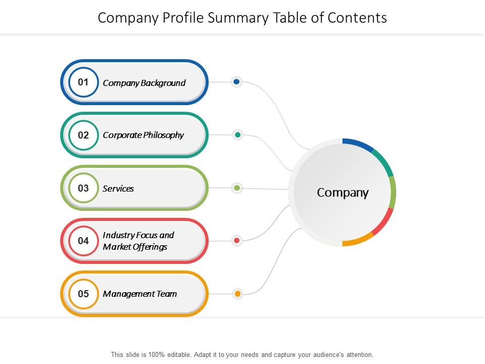 Company profile summary table of contents Slide01