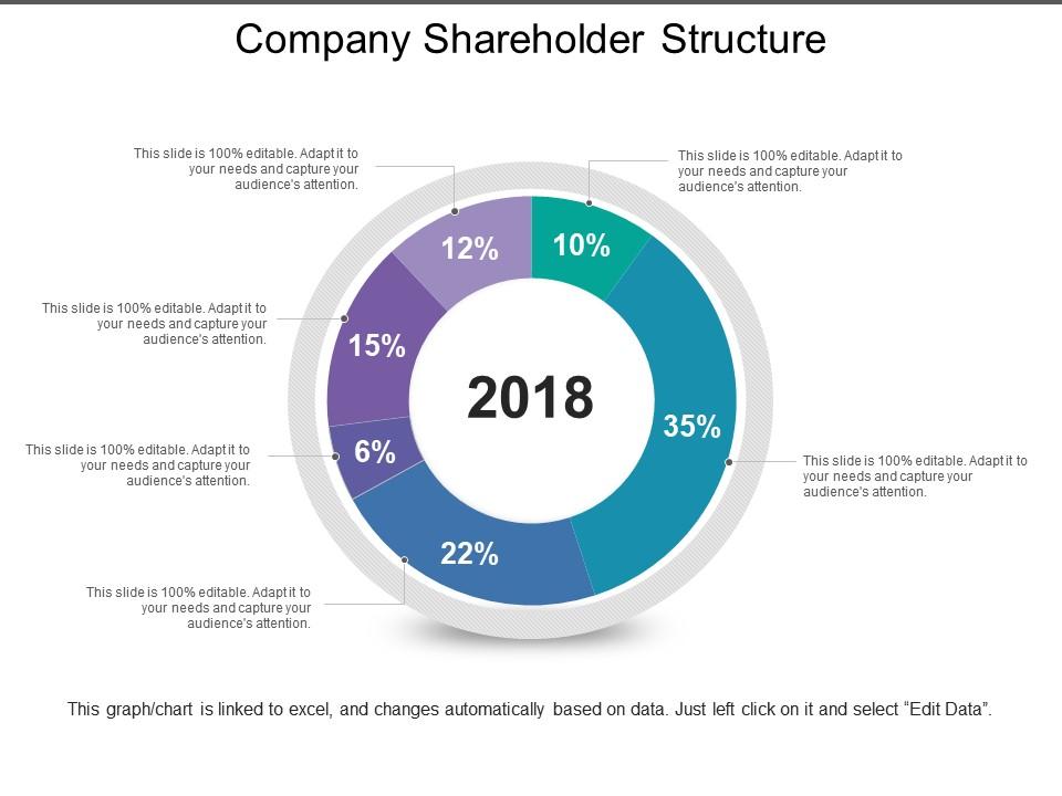 Company Shareholder Structure PowerPoint Presentation Sample Example of PPT Presentation