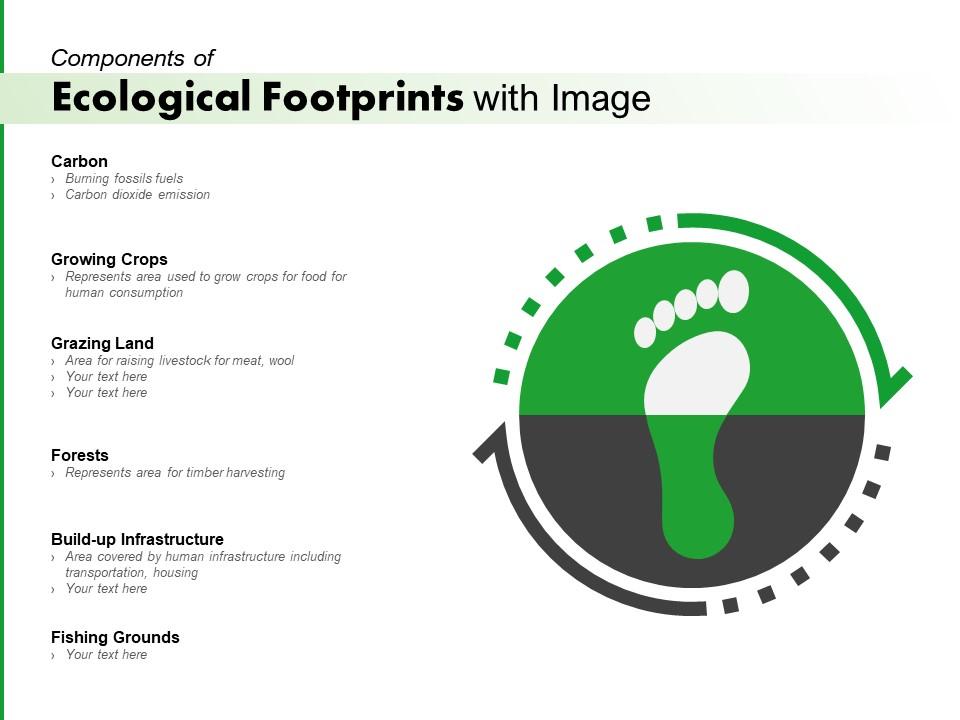 Components Of Ecological Footprints With Image PowerPoint
