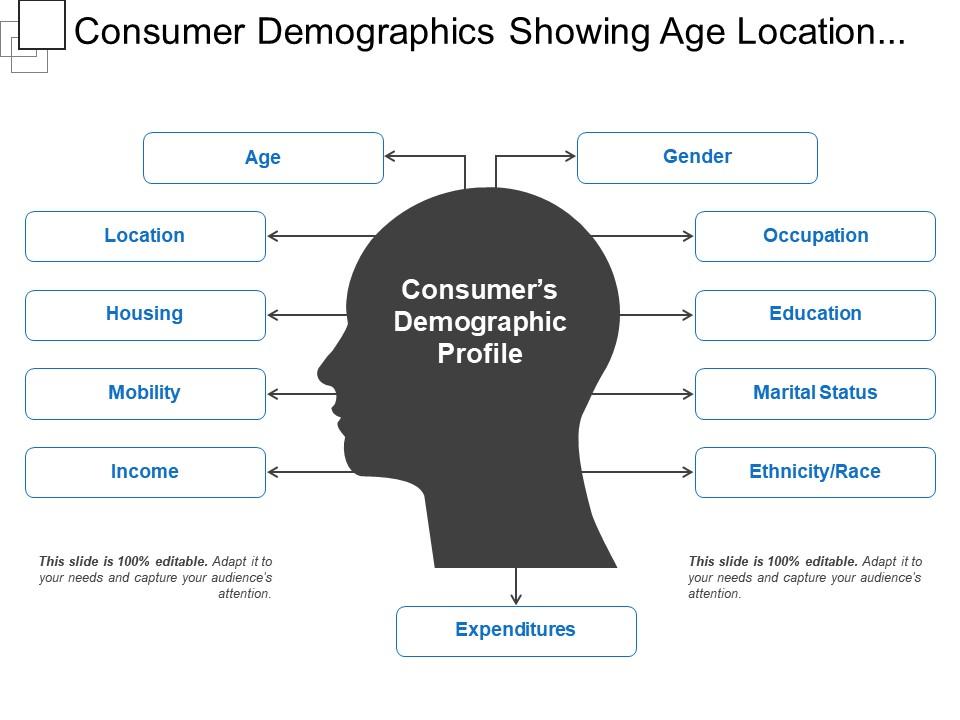 consumer_demographics_showing_age_location_occupation_gender_Slide01
