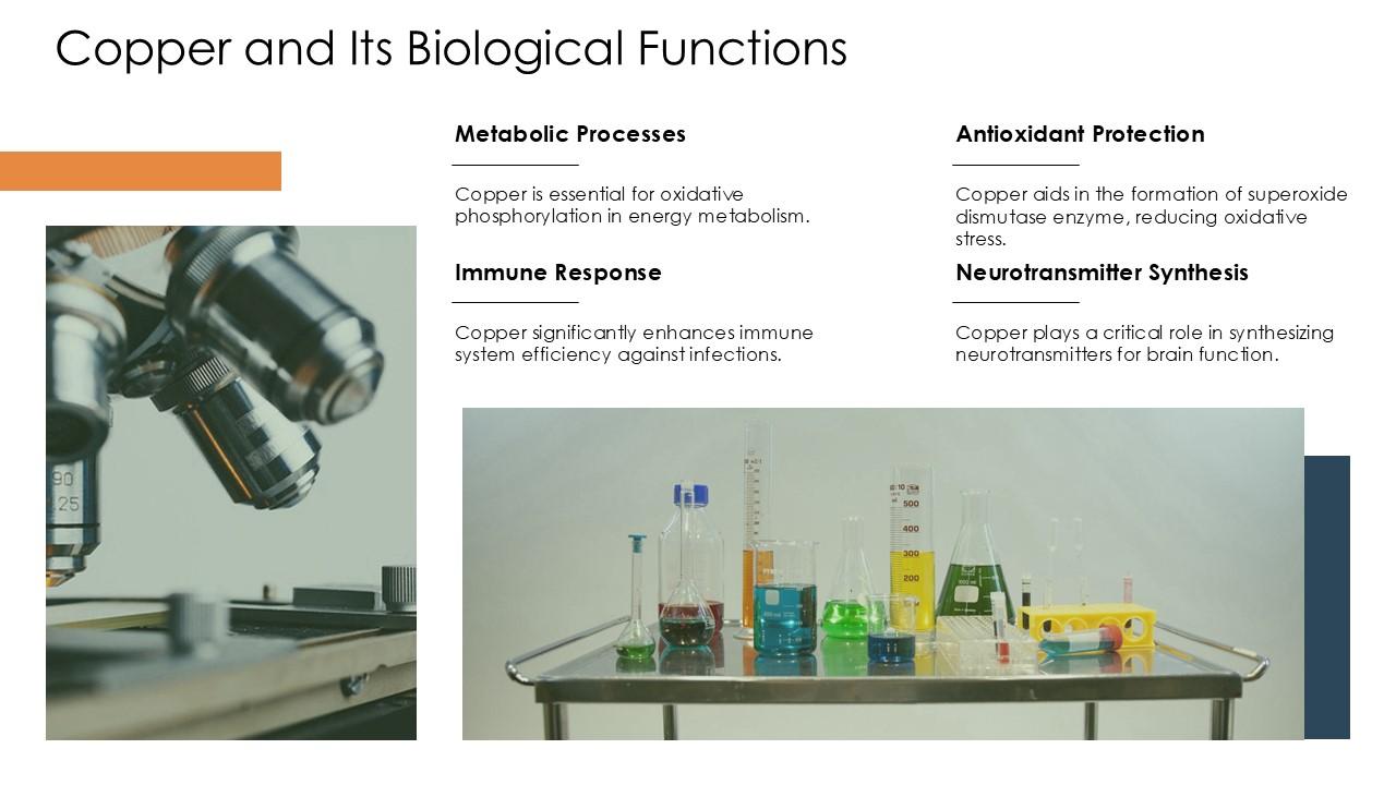 Copper And Its Biological Functions Microbiome PPT Summary ACP PPT Slide
