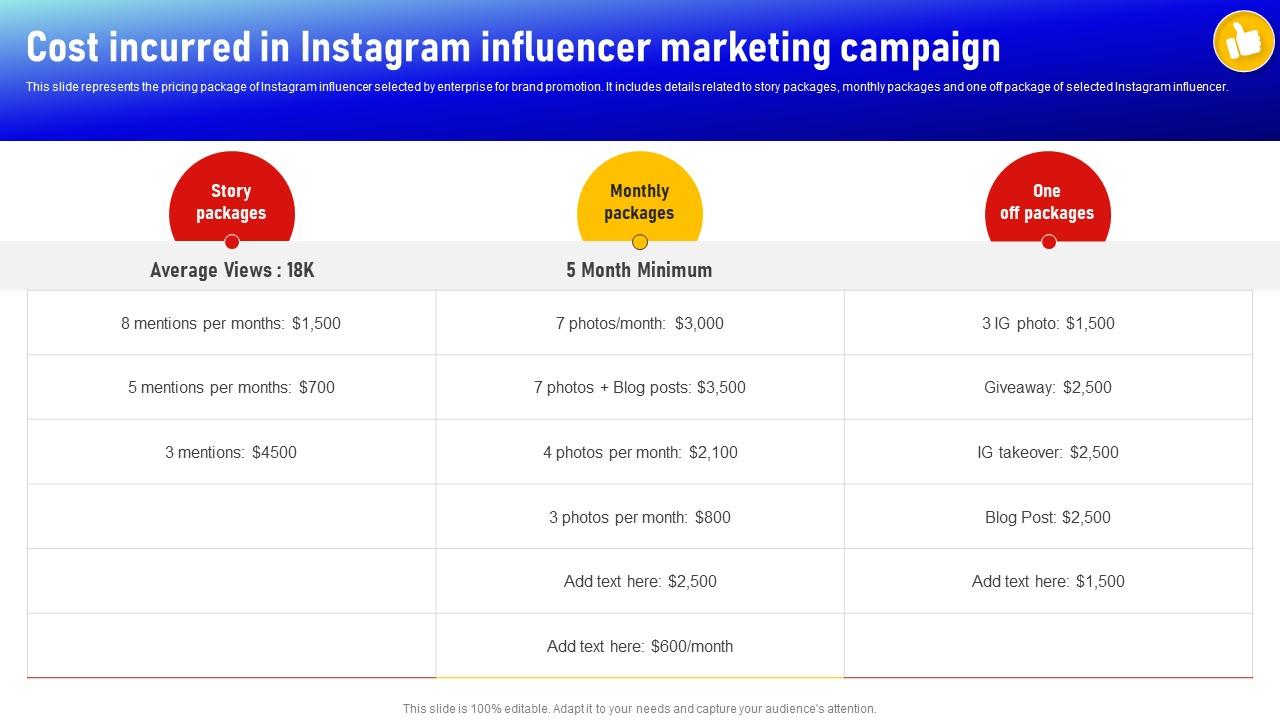 Cost Incurred In Instagram Influencer Marketing Campaign Social Media
