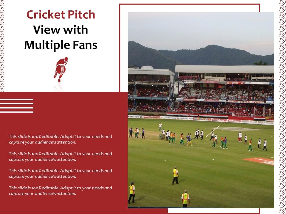 Cricket pitch view with multiple fans