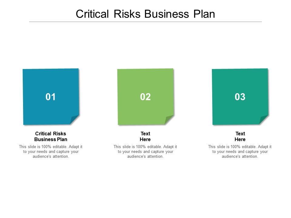 what are critical risks in business plan