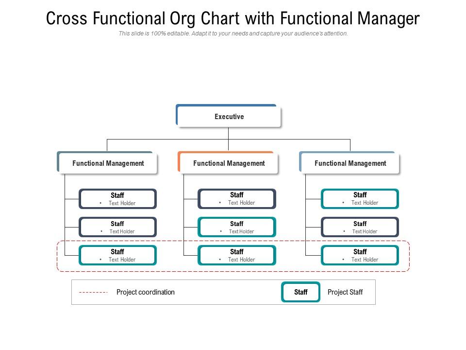 Cross functional org chart with functional manager Slide00