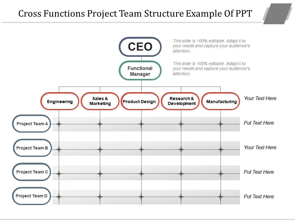cross_functions_project_team_structure_example_of_ppt_Slide01