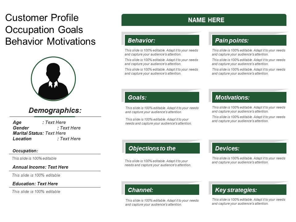Customer profile occupation goals behavior motivations Slide01
