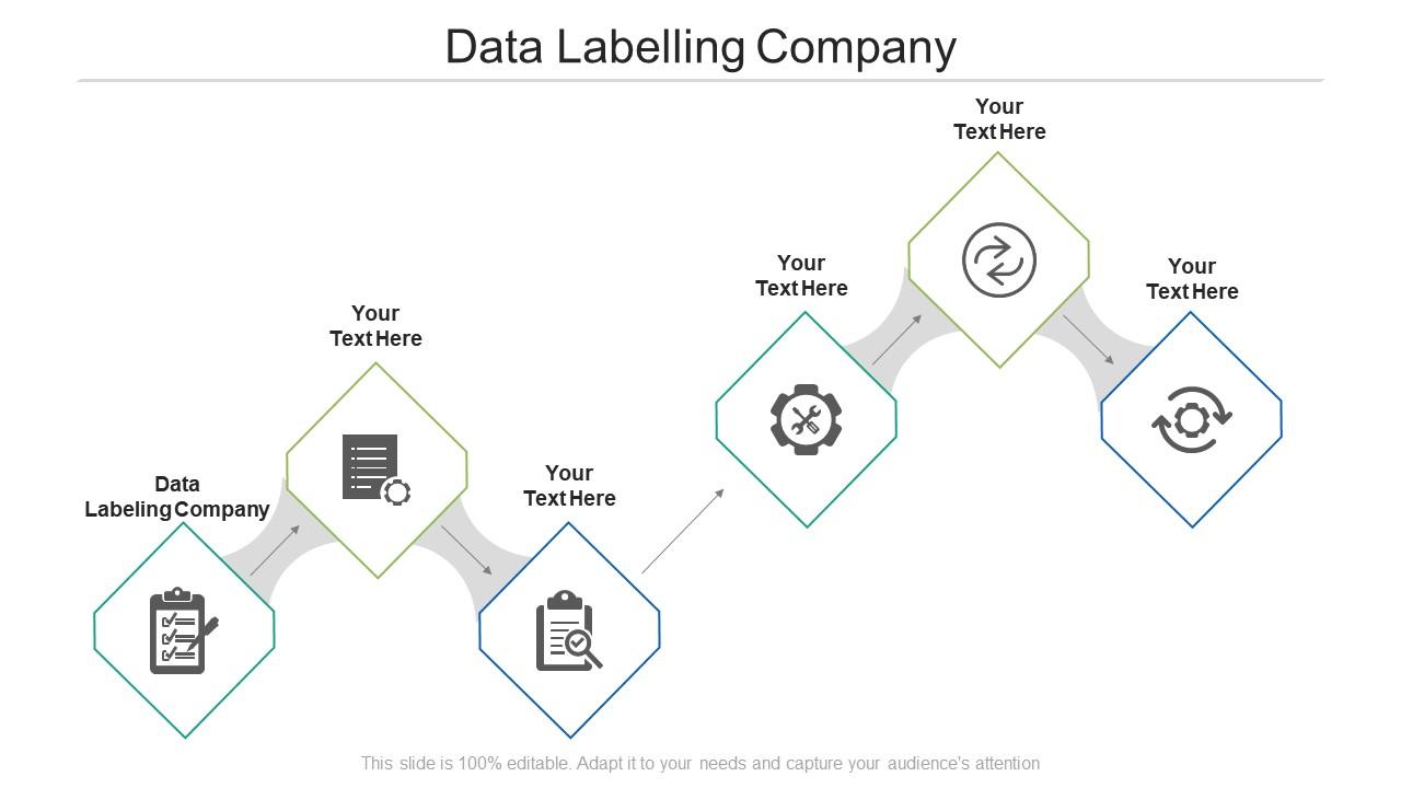 Data Labeling Company Ppt Powerpoint Presentation Show ...