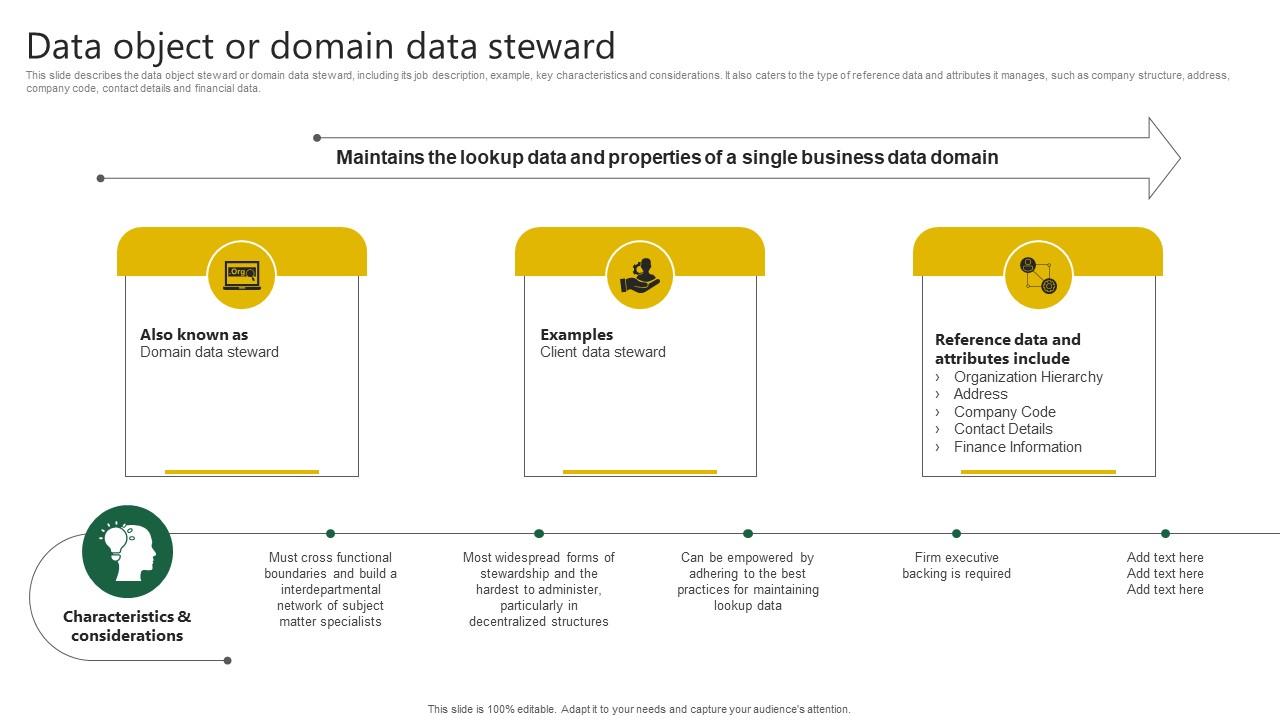 Data Object Or Domain Data Steward Stewardship By Project Model PPT ...