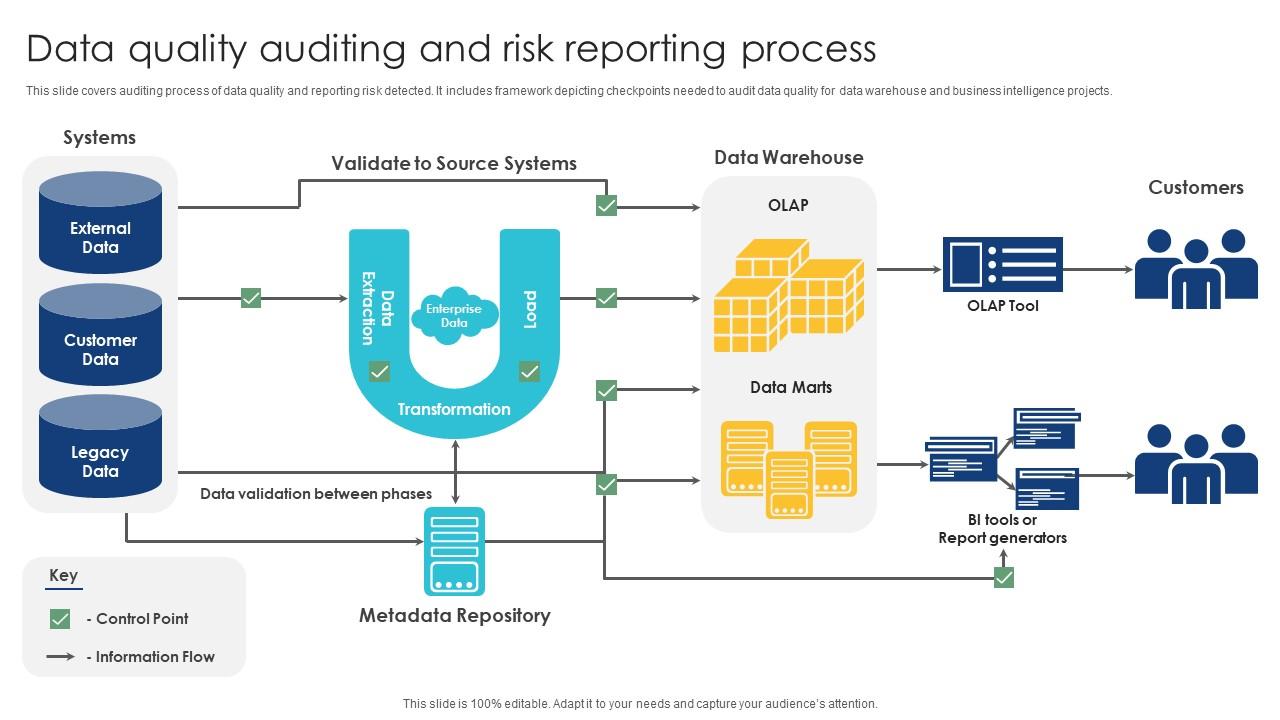 Data Quality Auditing And Risk Reporting Process
