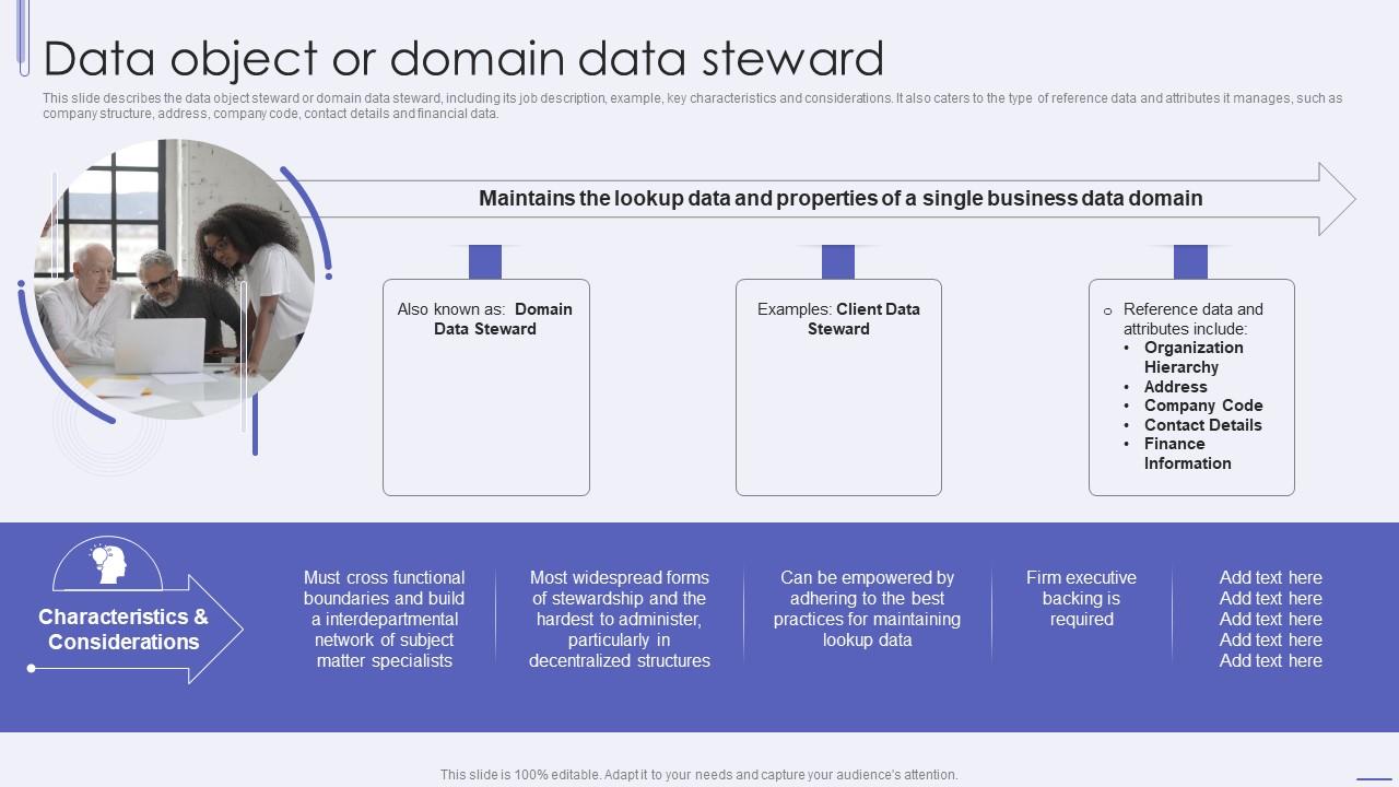 Data Stewardship IT Data Object Or Domain Data Steward Ppt Inspiration ...