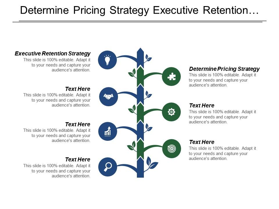 determine_pricing_strategy_executive_retention_strategy_communicate_with_community_Slide01