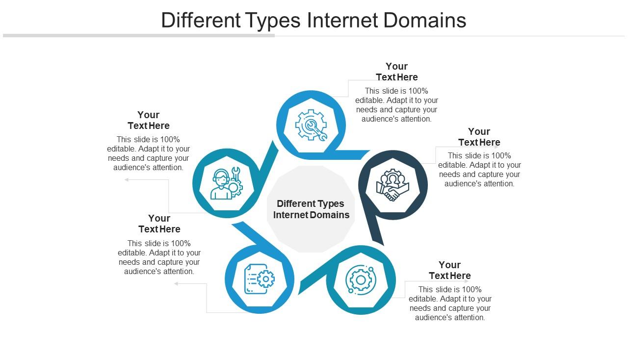 Different Types Domains Ppt Powerpoint Presentation Topics Cpb