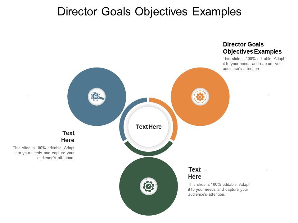 Director Goals Objectives Examples Ppt Powerpoint Presentation Pictures Show Cpb Presentation