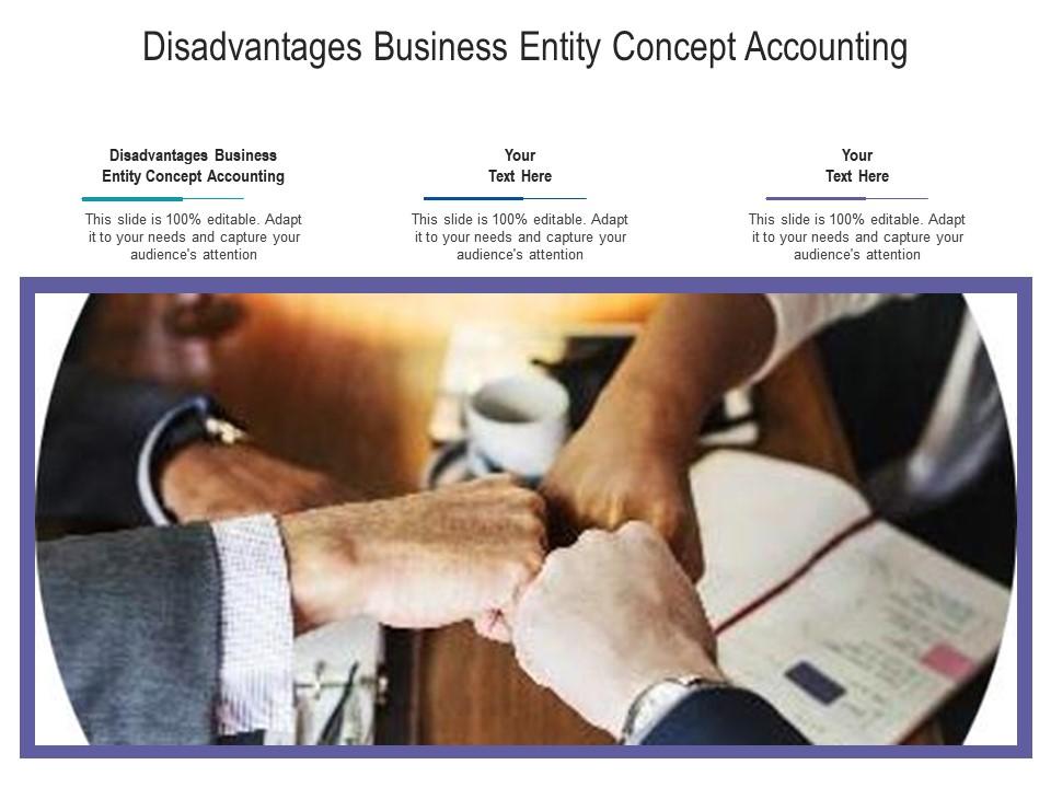 business entity concept in accounting