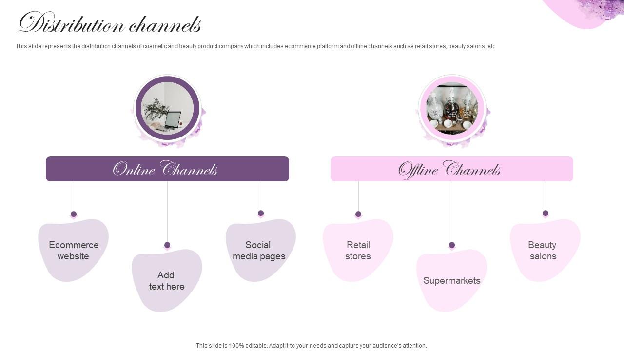 Distribution Channels Cosmetic Brand Company Profile Ppt Elements PPT