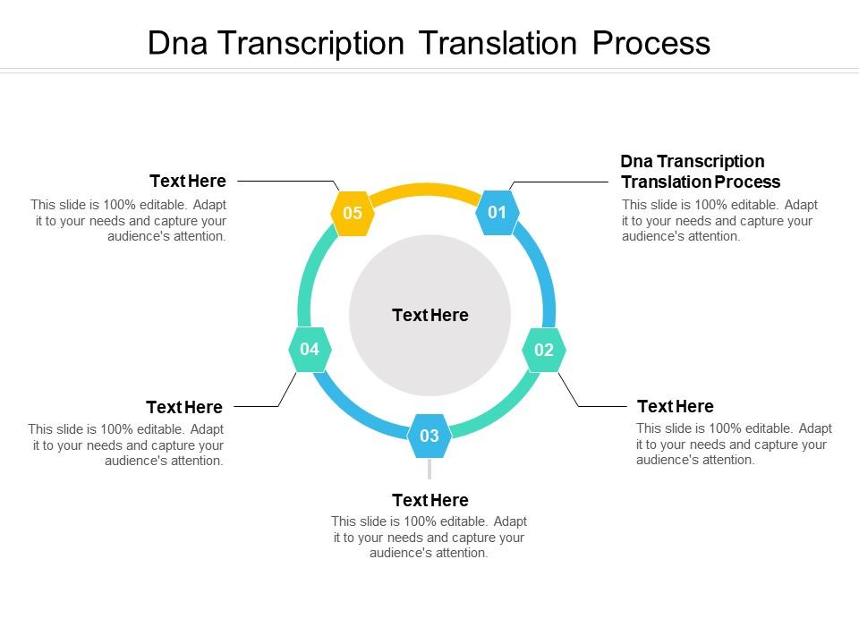 Dna Transcription Translation Process Ppt Powerpoint Presentation