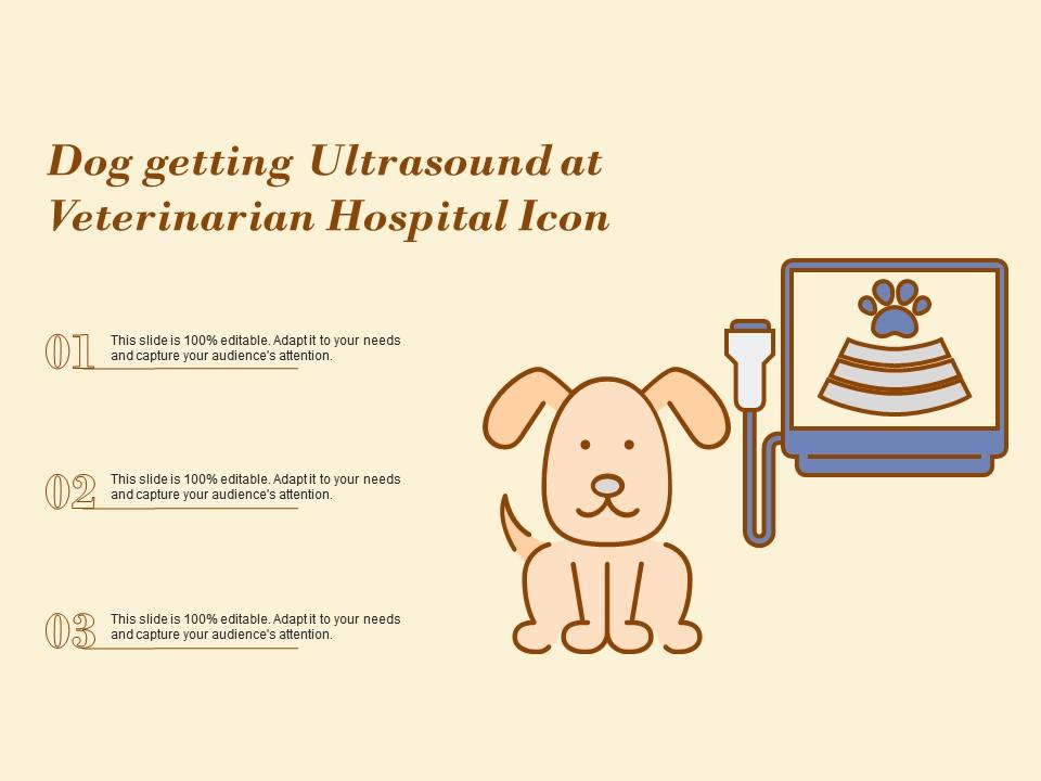 Dog getting ultrasound at veterinarian hospital icon Slide01