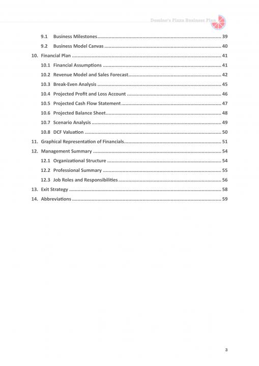 Dominos Pizza Business Plan Pdf Word Document Slide03