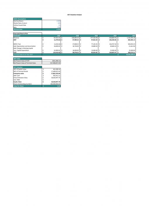 Dominos Pizza Business Plan Pdf Word Document Slide07