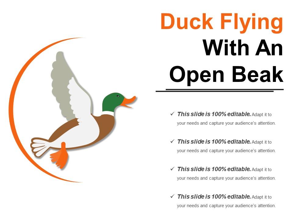 duck_flying_with_an_open_beak_Slide01