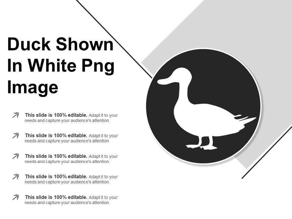 duck_shown_in_white_png_image_Slide01