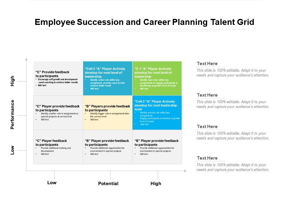 Employee succession and career planning talent grid Slide01